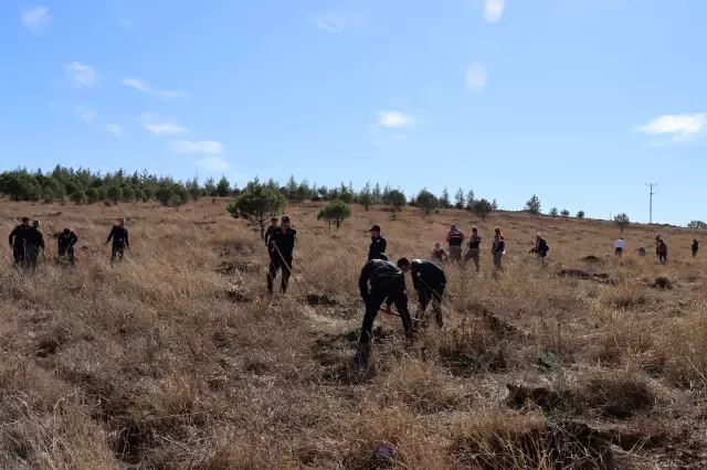 Milli Ağaçlandırma Seferberliğine adalet mensuplarından destek