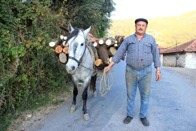 Kömür ve doğalgaz zammından etkilenmeyen köylüler kış hazırlıklarına başladı