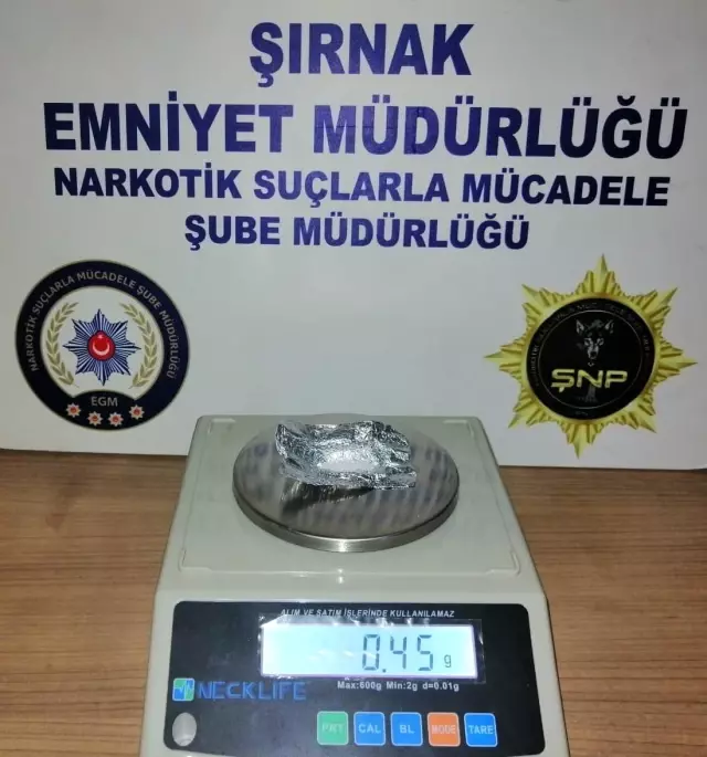 Şırnak'ta kaçakçılık ve asayiş operasyonu: 56 gözaltı