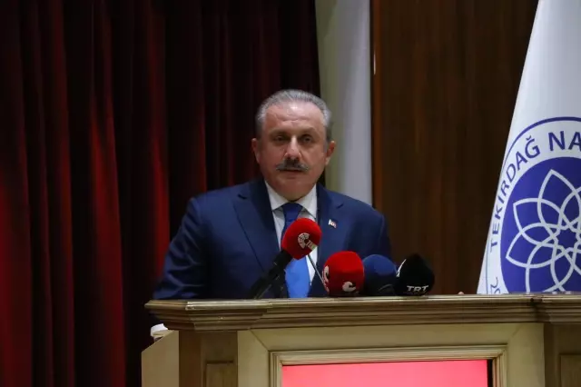 TBMM Başkanı Şentop: Türkiye'den rahatsız olanlarda var