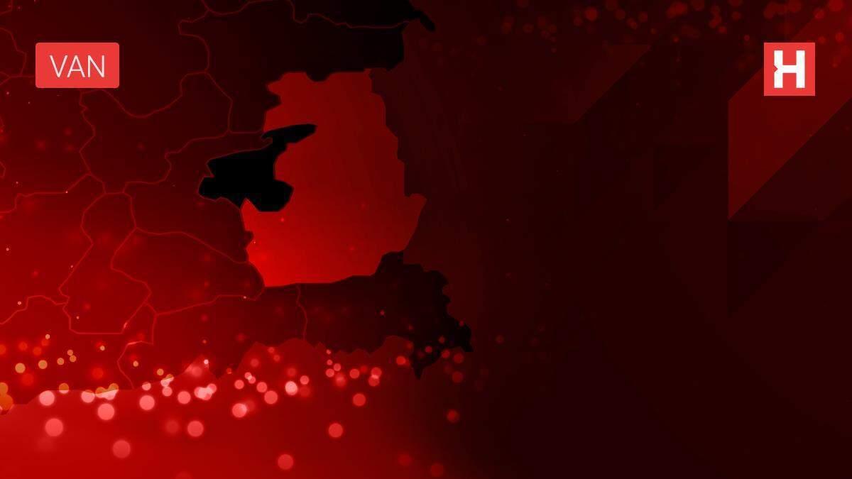 Avusturya Gönüllüleri Derneği'nden Çatak'taki öğrencilere yardım