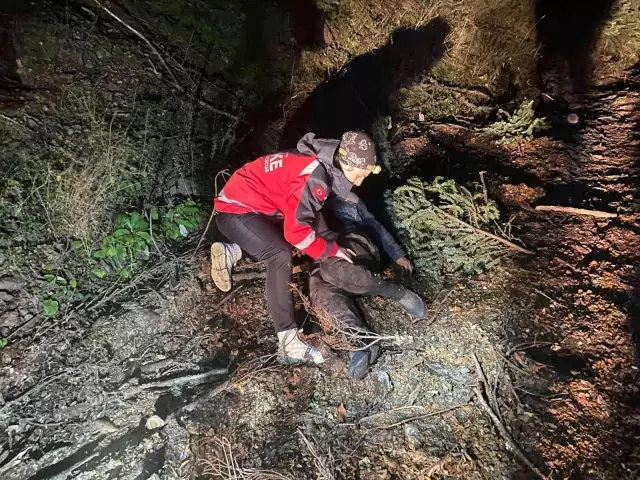 Kastamonu'da kaybolan engelli kadını arama ekipleri buldu