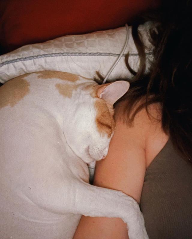 Kedisini kaybeden Danla Bilic'ten duygusal paylaşım: Çok ani bıraktın beni