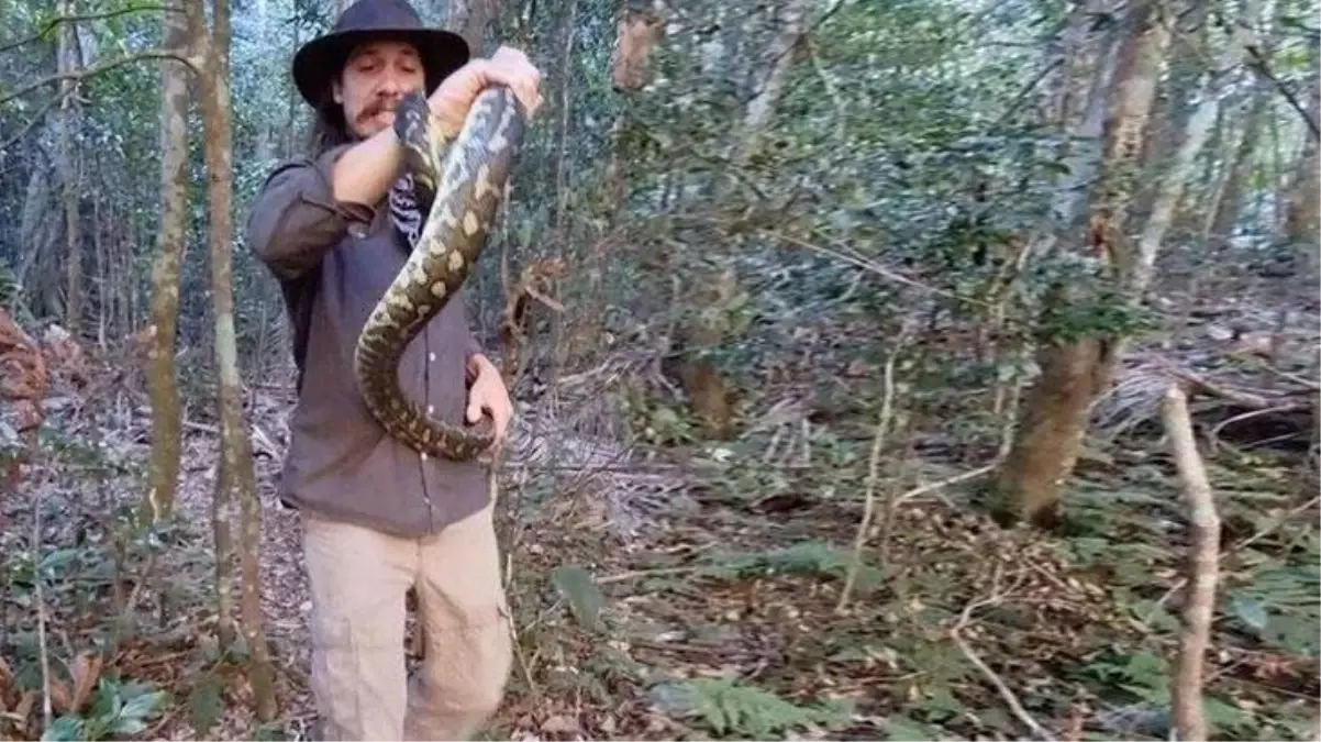 Korkunç saldırı kameralarda! Bir anda hamle yapan yılan, keskin dişleriyle adamın atardamarını kopardı