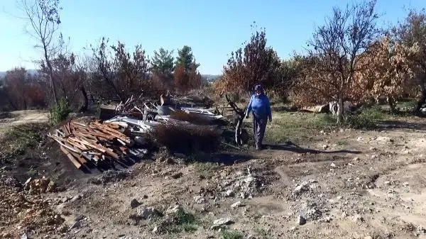 Manavgat yangını sonrası yıkılan 210 evde hisseli tapu sorunu