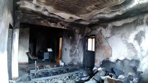 Manavgat yangını sonrası yıkılan 210 evde hisseli tapu sorunu