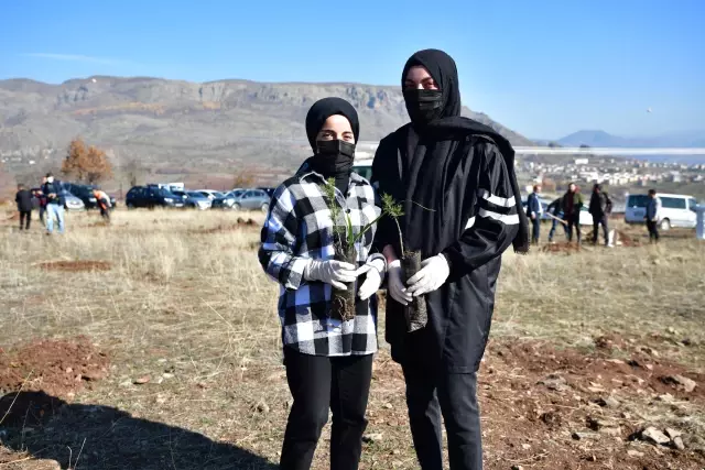 Şebinkarahisar'a özgü meyve fidanları toprakla buluşturuldu