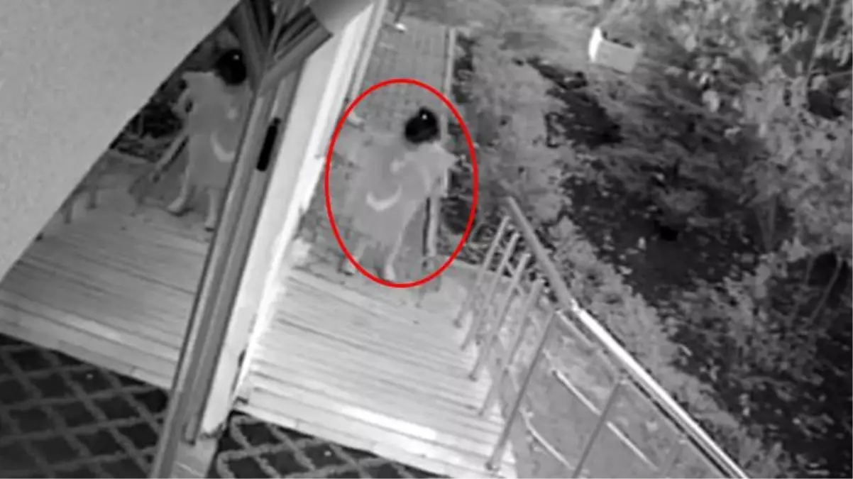 Yürekleri ısıtan görüntü! Oyun oynayan kız çocuğunun Türk bayrağı sevgisi kamerada