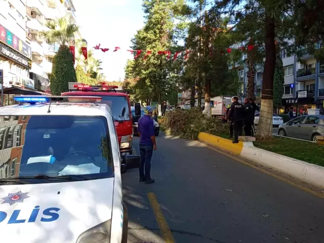 Kırılan ağacın dalları seyir halindeki araçların üzerine düştü