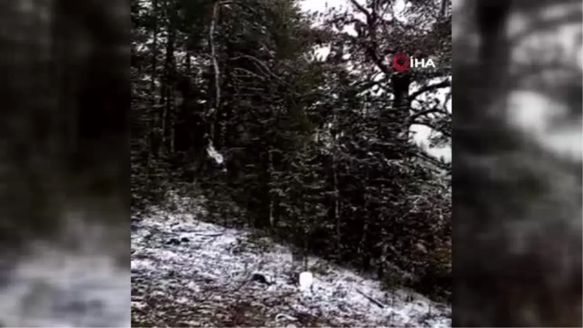 Mevsimin ilk karı Ankara'ya yağdı