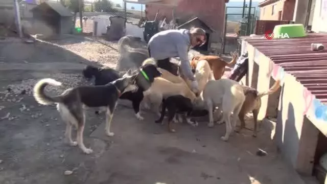 Selzede hayvanlar, Patiköy de yeniden hayat buldu