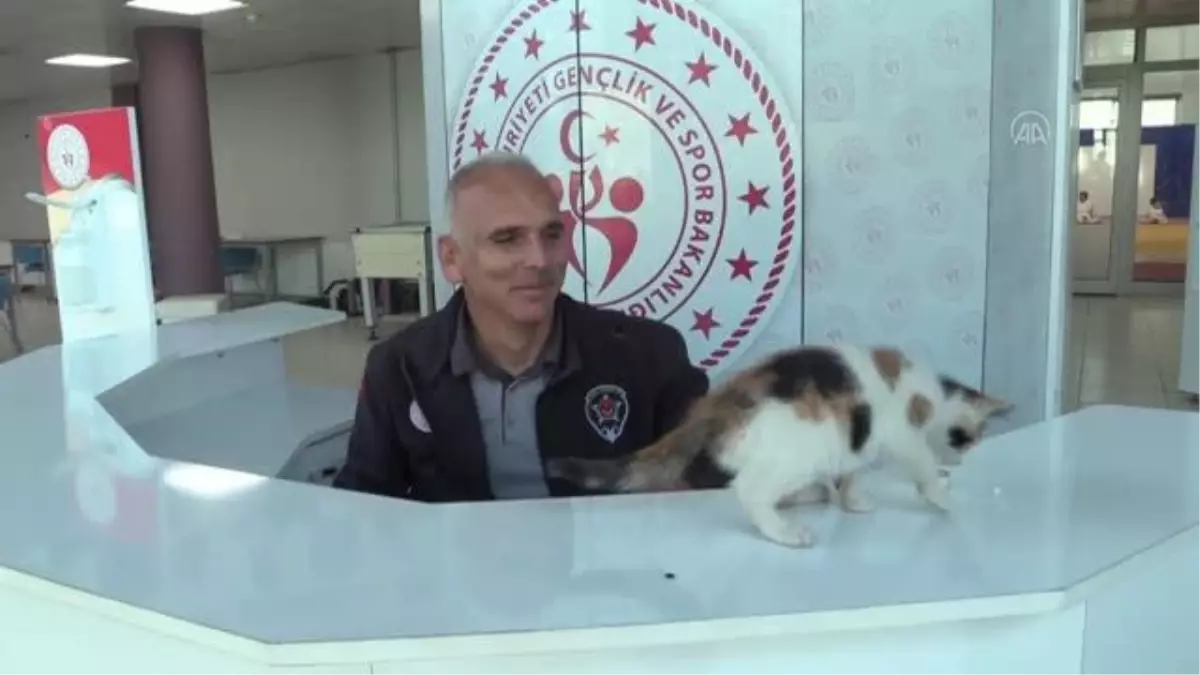 Sevimli kedi yavrusu 'Karamel' genç judocuların maskotu oldu