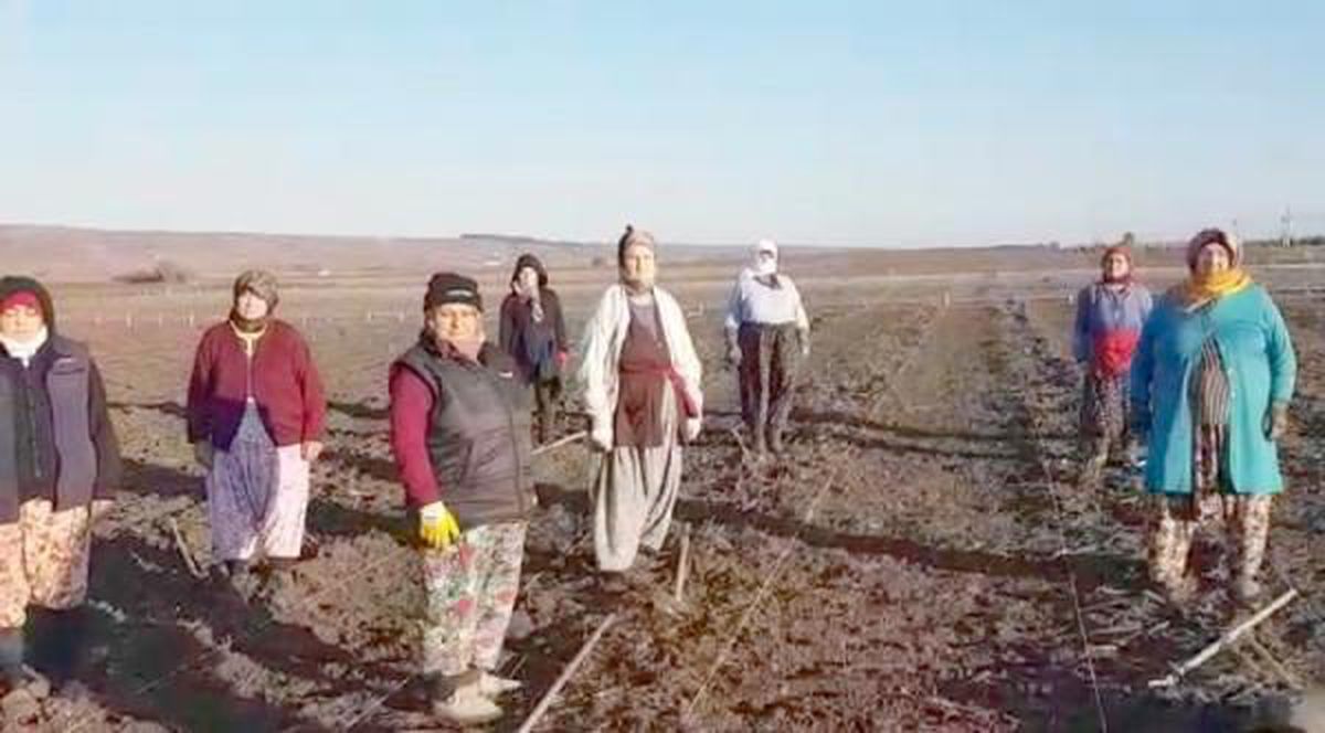 Tarlada çalışan işçilerden Ata'ya saygı