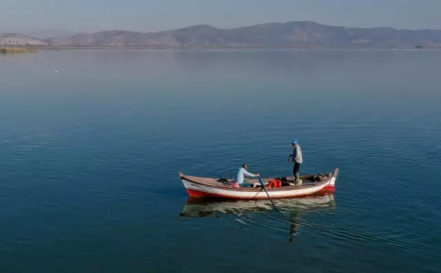 Yılan balığının Meksika'dan Türkiye'ye 7 bin kilometrelik yolculuğu (1)