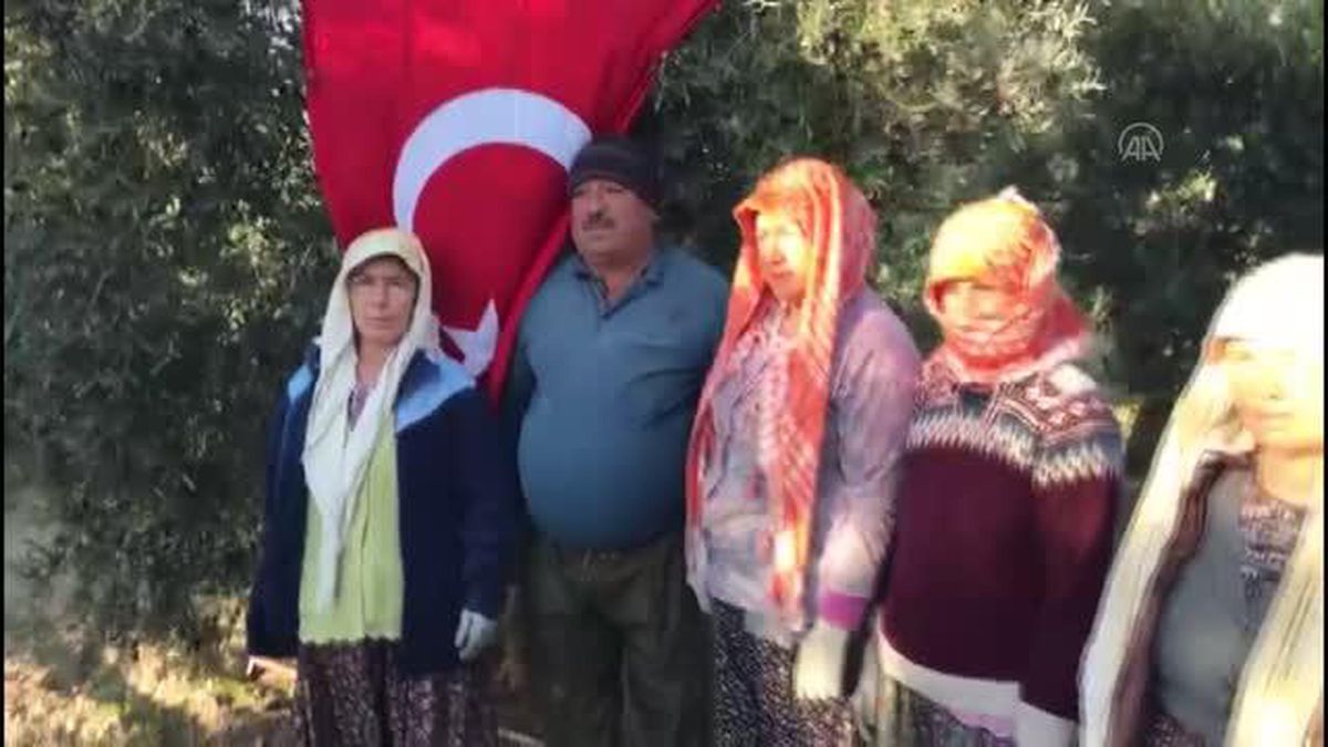 Zeytin toplayan çiftçilerden özel 10 Kasım anma etkinliği