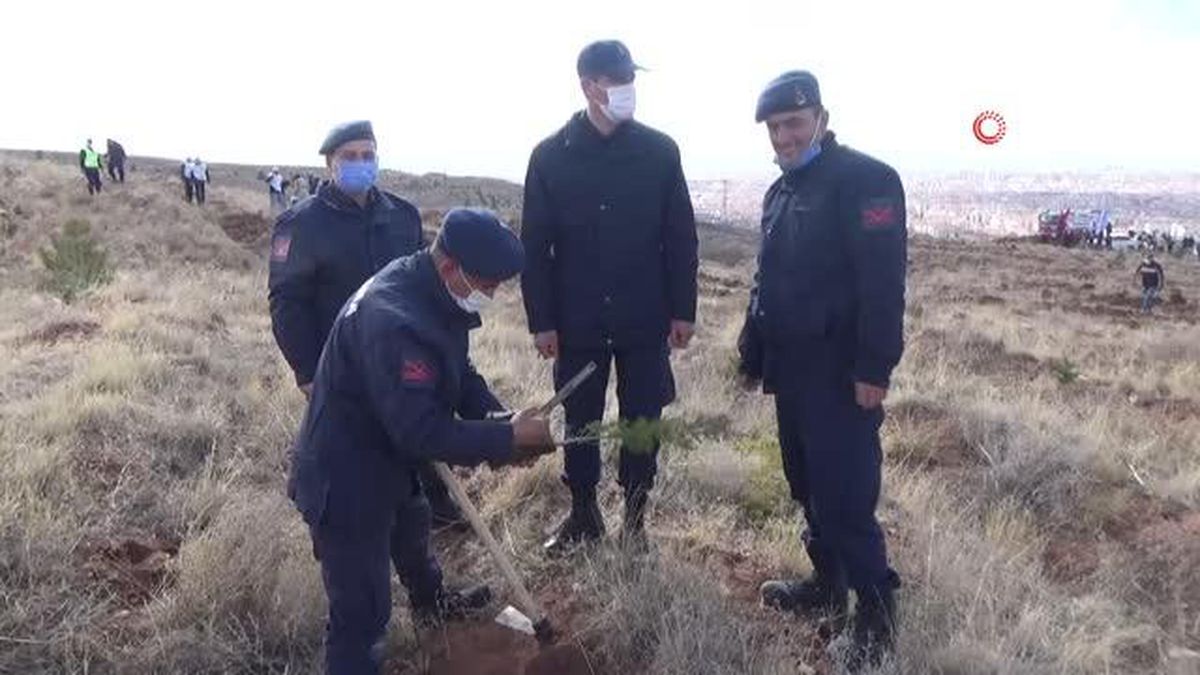 Aksaray'da 826 bin fidan topraklı buluşturuldu