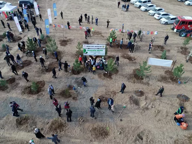 Binlerce fidan toprakla buluştu