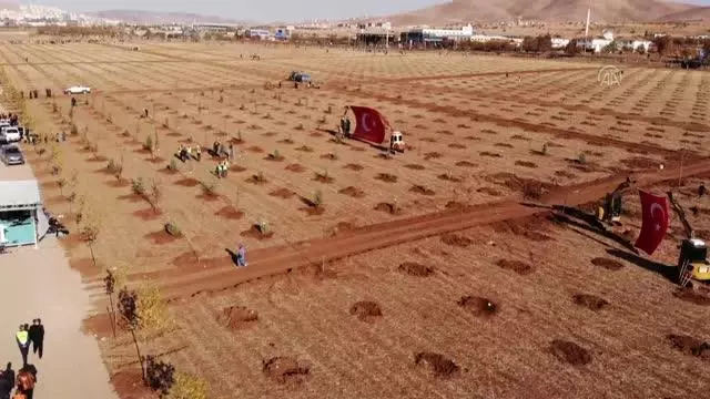 Binlerce fidan toprakla buluştu