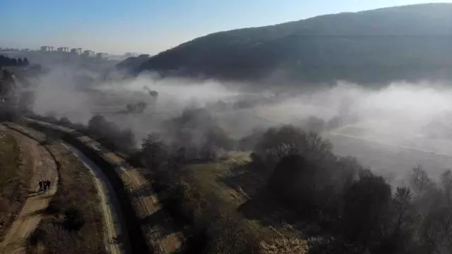 Artvin'de kari Bolu'da sis etkili oldu