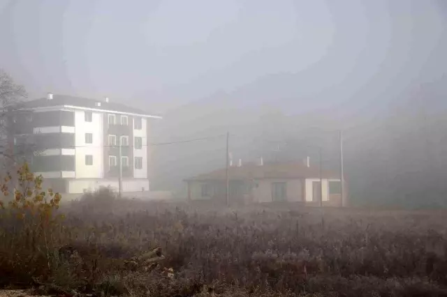 Artvin'de kari Bolu'da sis etkili oldu