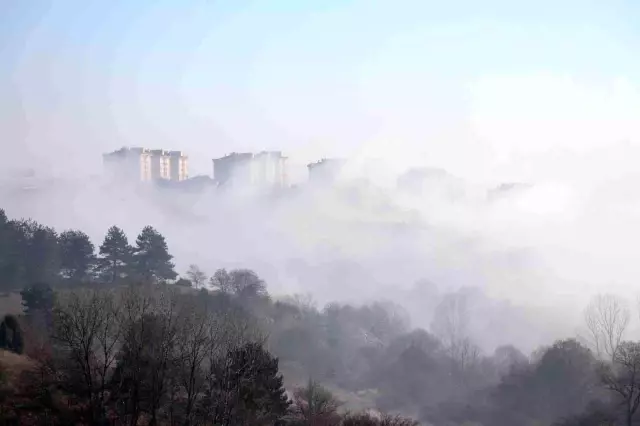 Artvin'de kari Bolu'da sis etkili oldu