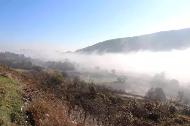 Artvin'de kari Bolu'da sis etkili oldu
