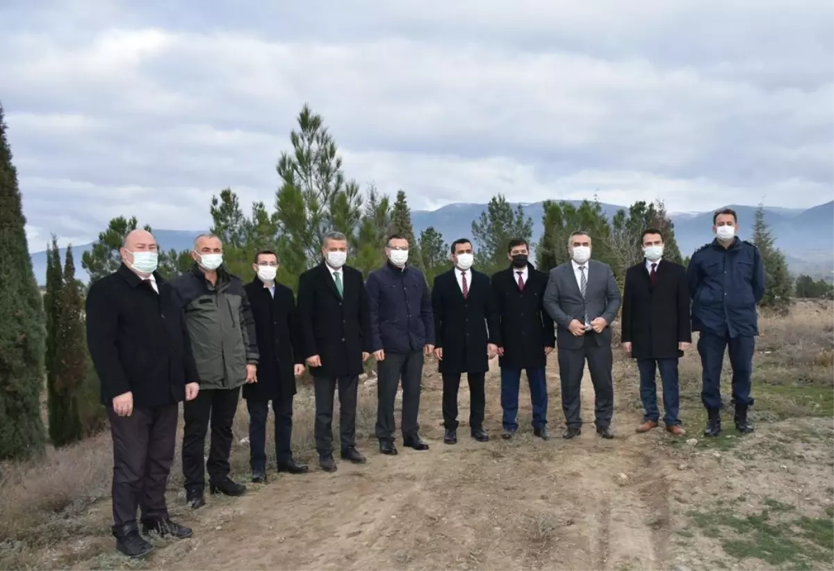 Boyabat Cumhuriyet Başsavcılığından fidan dikme etkinliği