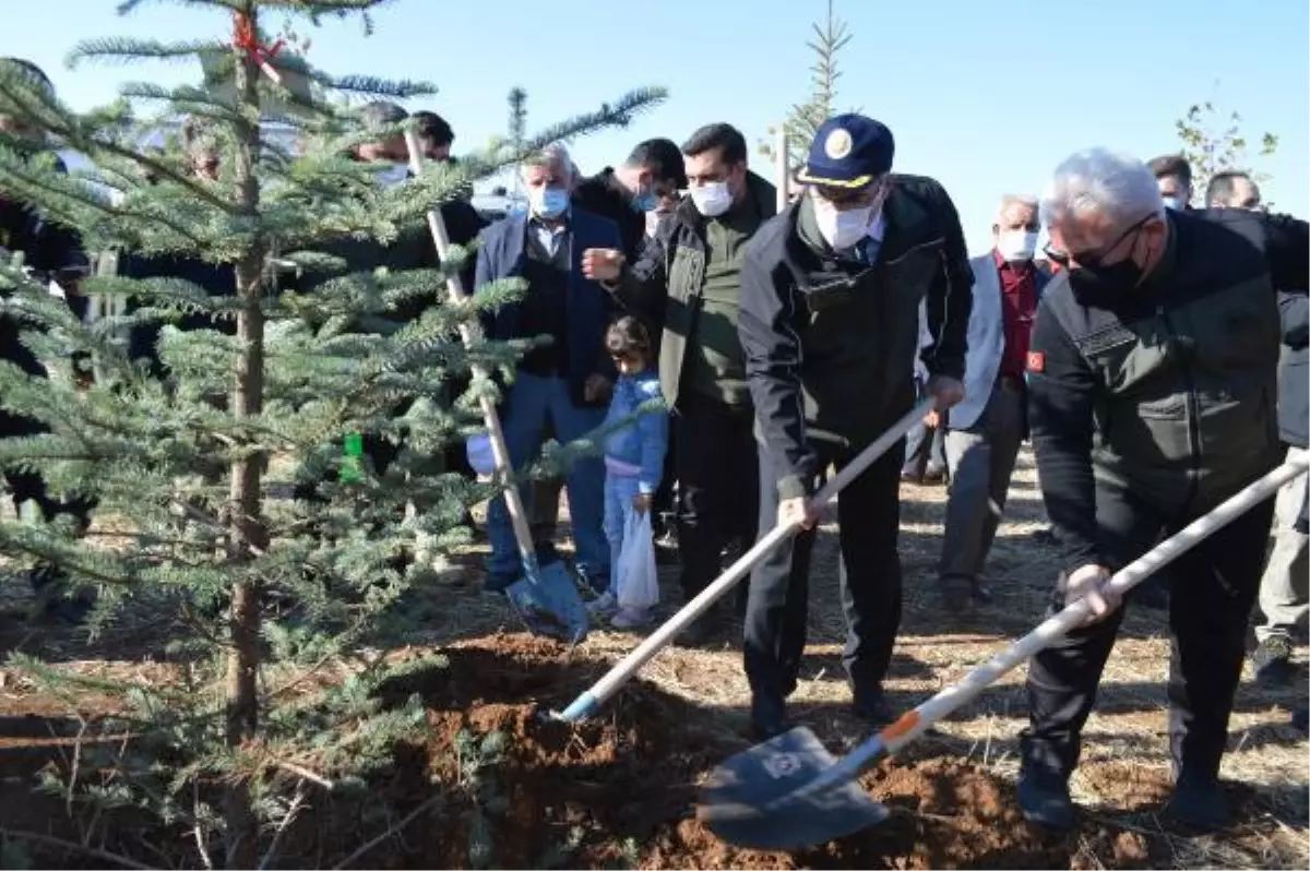 ELAZIĞ'DA 23 BİN FİDAN TOPRAKLA BULUŞTU; HEDEF 2 MİLYON 297 BİN