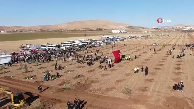 Elazığ'da 'Geleceğe Nefes Dünyaya Nefes' etkinliğinde 23 bin fidan toprakla buluştu