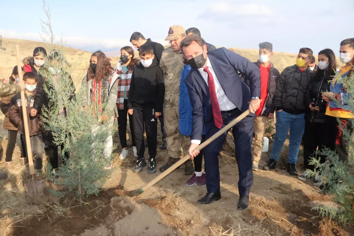 Erciş'te yüzlerce fidan toprakla buluştu