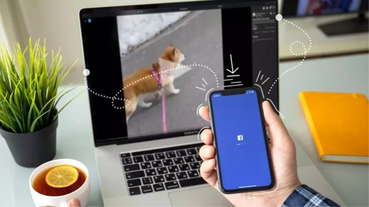 Facebook'tan Video Nasıl İndirilir?