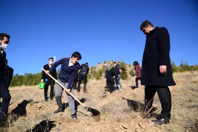 Kahramankazan'da fidanlar toprakla buluşturuldu
