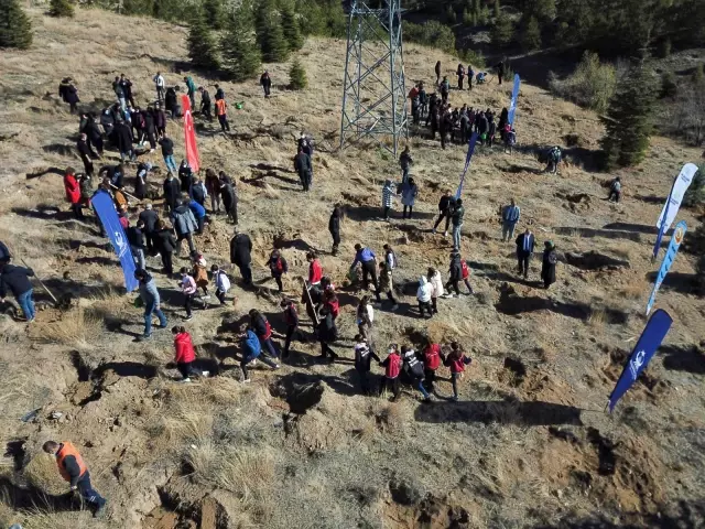 Kahramankazan'da fidanlar toprakla buluşturuldu