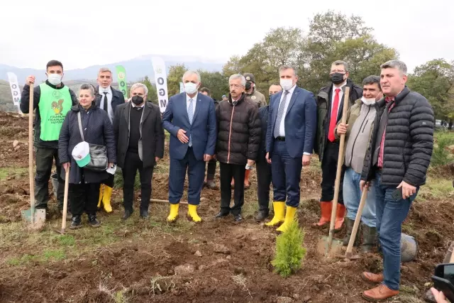 Karadeniz Bölgesi'nde binlerce fidan toprakla buluşturuldu