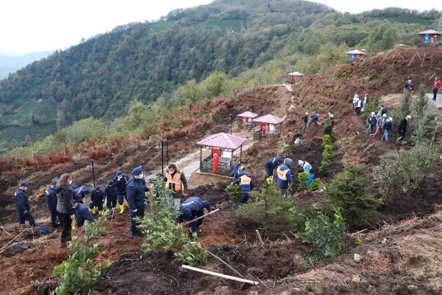 Milli Ağaçlandırma Günü nde fidanlar toprakla buluşturuldu