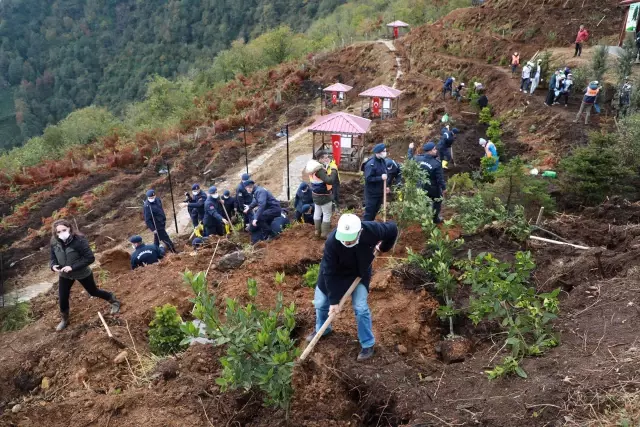 Milli Ağaçlandırma Günü nde fidanlar toprakla buluşturuldu