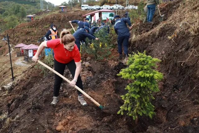Milli Ağaçlandırma Günü nde fidanlar toprakla buluşturuldu