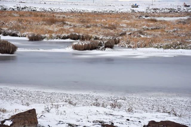 Kars'taki Çalı Gölü tamamen dondu