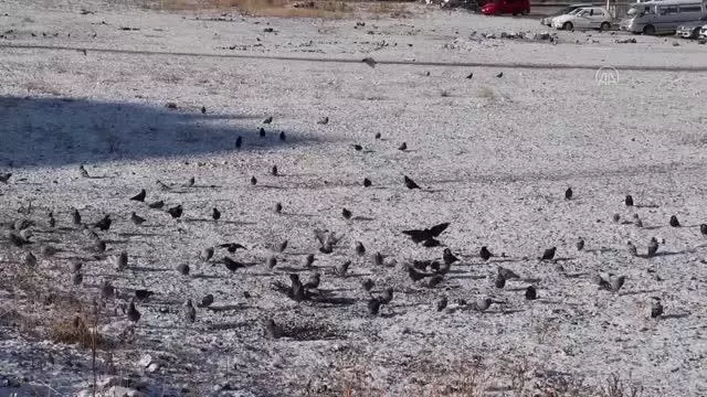 Kent merkezinde kar etkili oldu