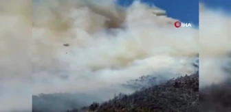 Mersin'de orman yangını: 75 hektar ormanlık alan ile 25 dönüm sera yandı