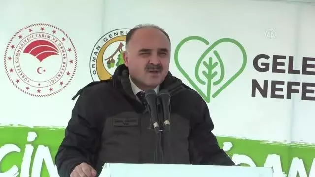 Milli Ağaçlandırma Günü nde fidanlar toprakla buluşturuldu