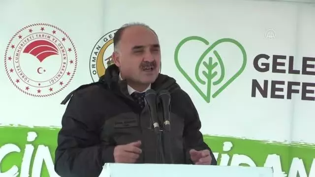 Milli Ağaçlandırma Günü nde fidanlar toprakla buluşturuldu