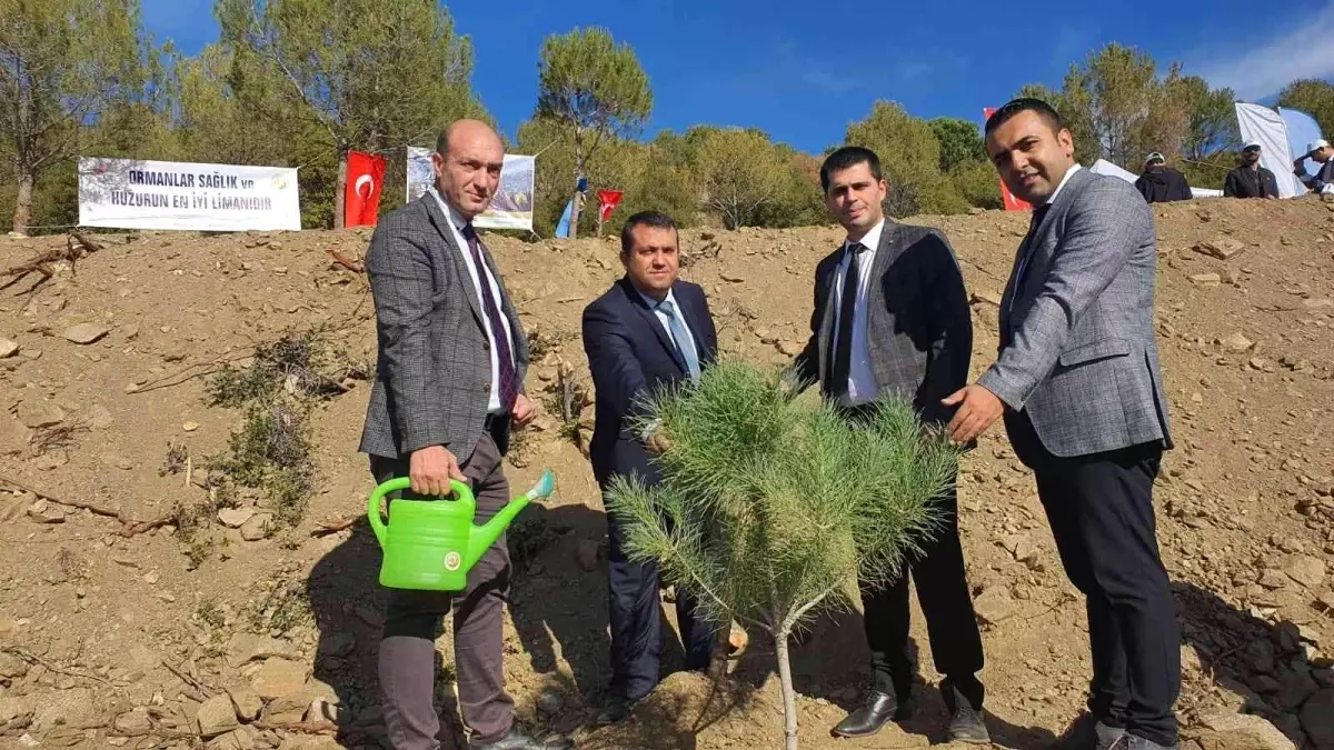 Nazilli'de Milli Ağaçlandırma Günü Etkinliği gerçekleştirildi