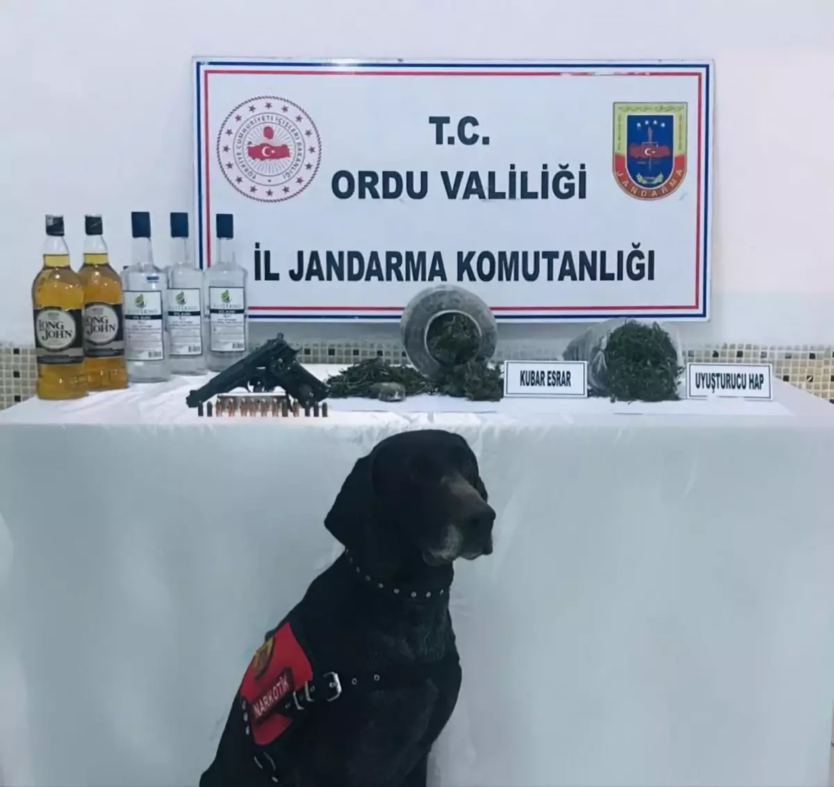 Ordu'da uyuşturucu operasyonunda 2 şüpheli yakalandı