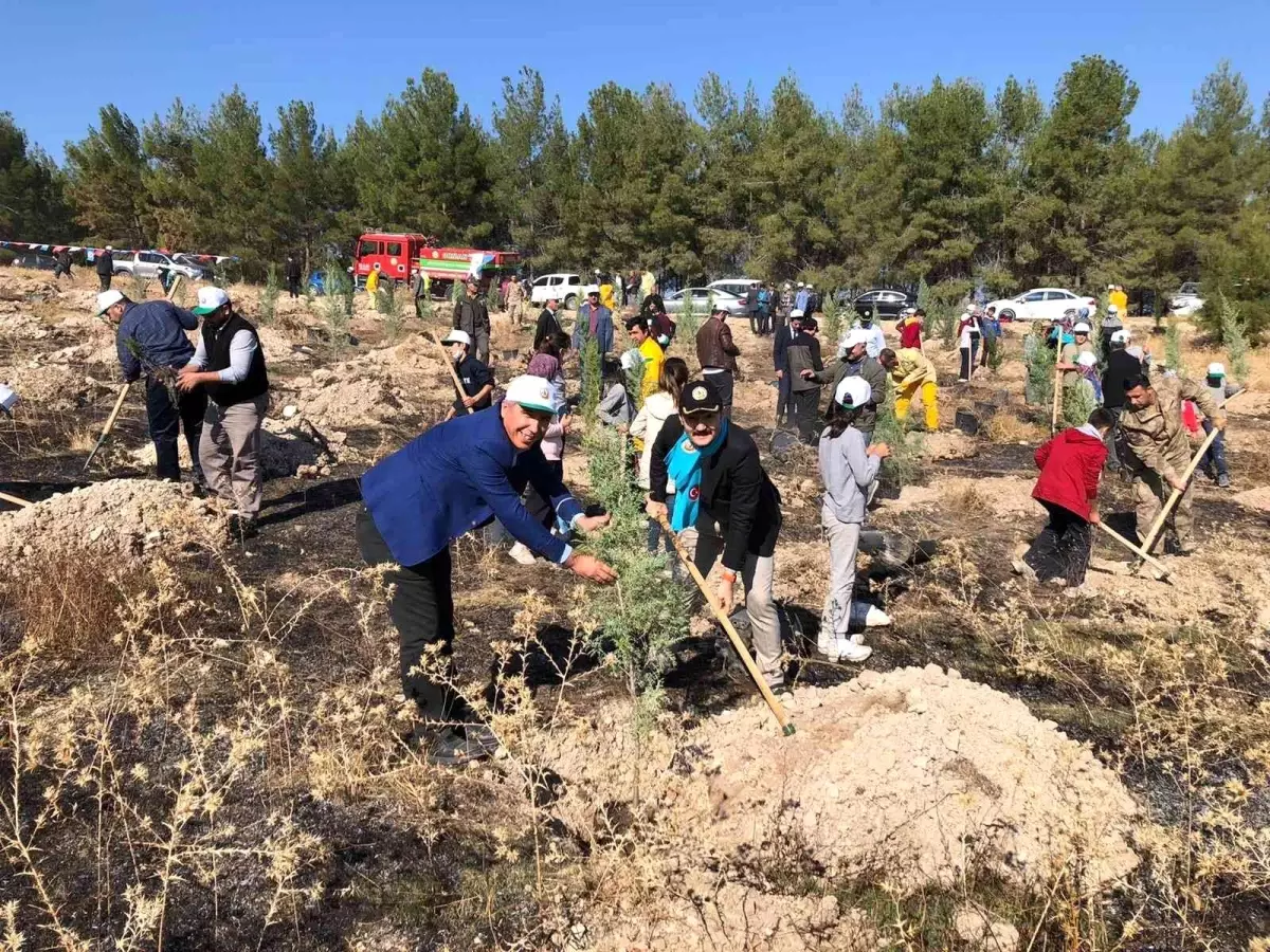 Samsat'ta 2 bin 23 adet fidan toprakla buluştu