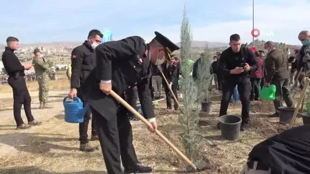 Şırnak'ta 56 bin fidan toprakla buluştu