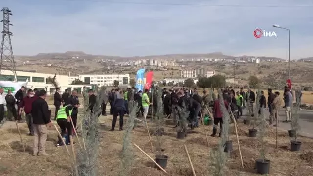 Şırnak'ta 56 bin fidan toprakla buluştu