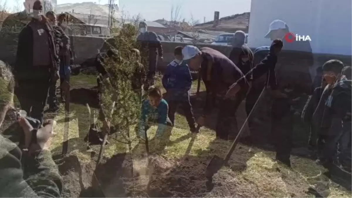 Şuhut'ta binlerce fidan toprakla buluştu