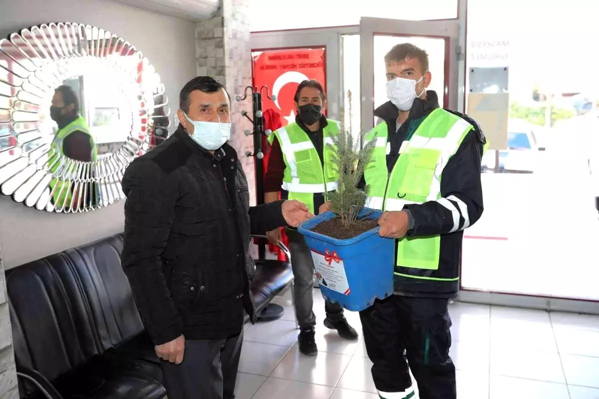 Talas Belediyesi'nden 2 bin 23 mavi ladin
