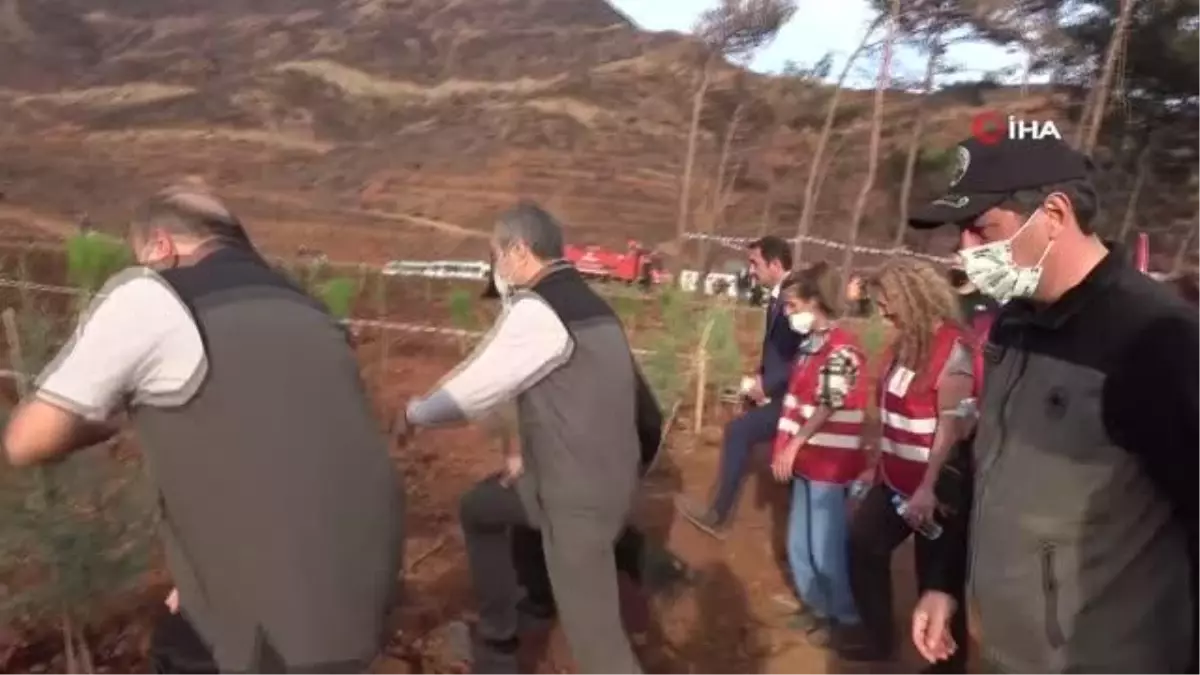 Tarım ve Orman Bakan Yardımcısı Fatih Metin, Marmaris'teki fidan dikme törenine katıldı